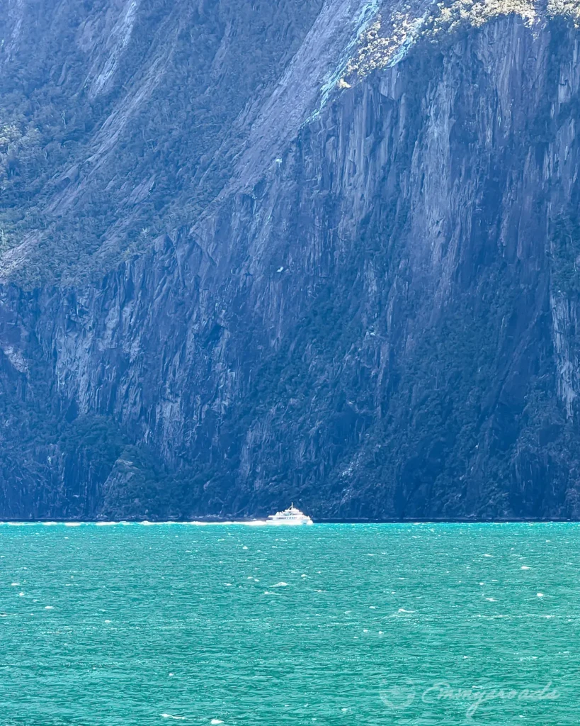 Milford sound New Zealand boat tour
