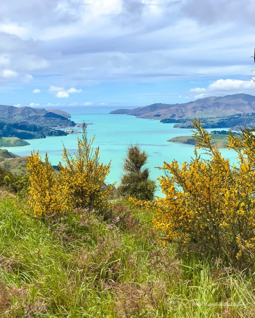 ONAHAU LOOKOUT Nelson New Zealand