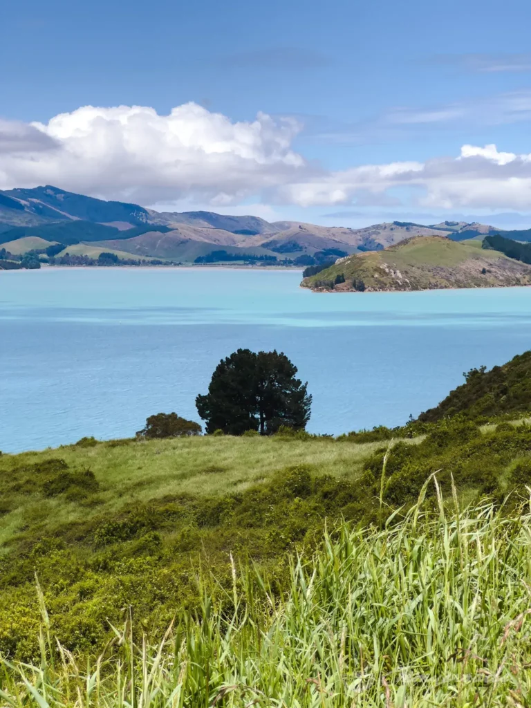 ONAHAU LOOKOUT Nelson New Zealand