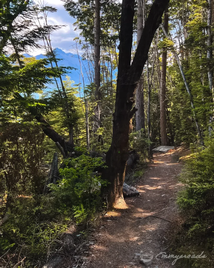 Queenstown New Zealand hiking