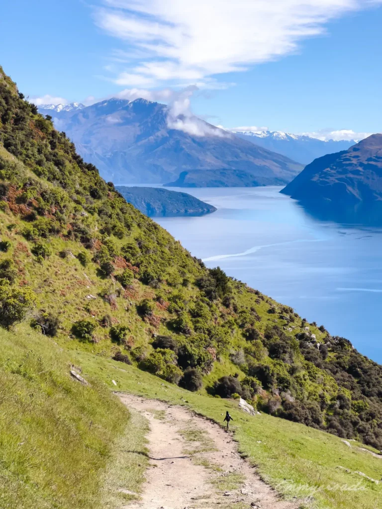 ROY’S PEAK hiking New Zealand