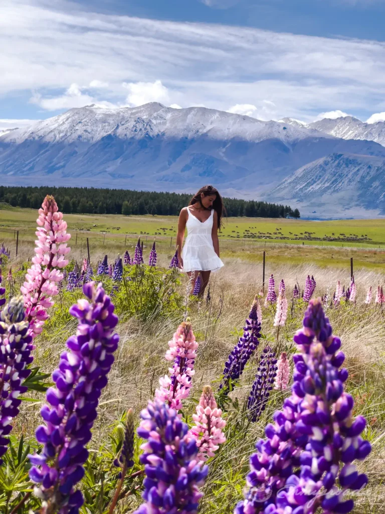 South New Zealand