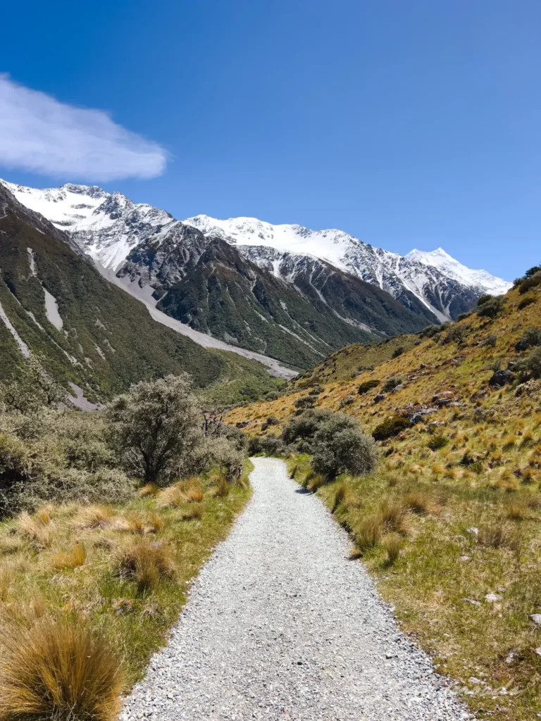 TASMAN GLACIER LAKE WALK hiking New Zealand