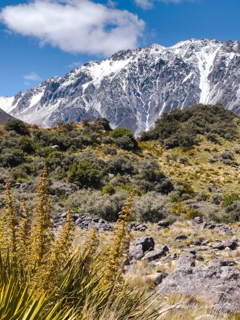 TASMAN GLACIER LAKE WALK hiking New Zealand