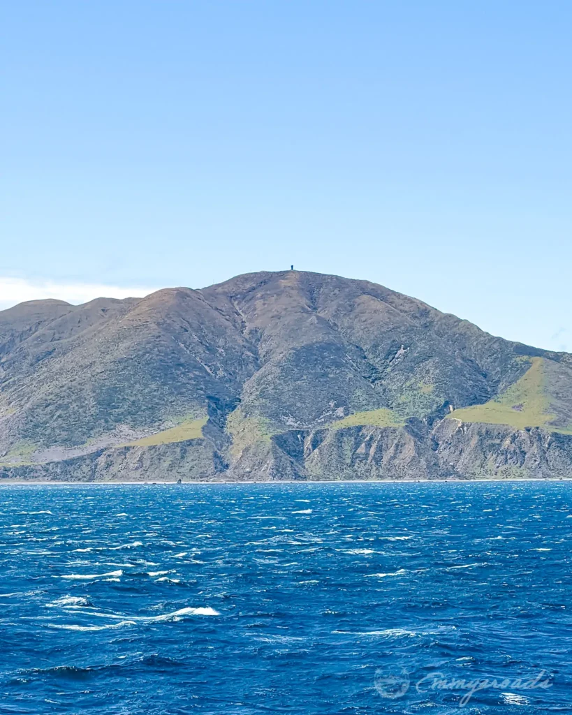 view from the ferry from the North to the South island of New Zealand